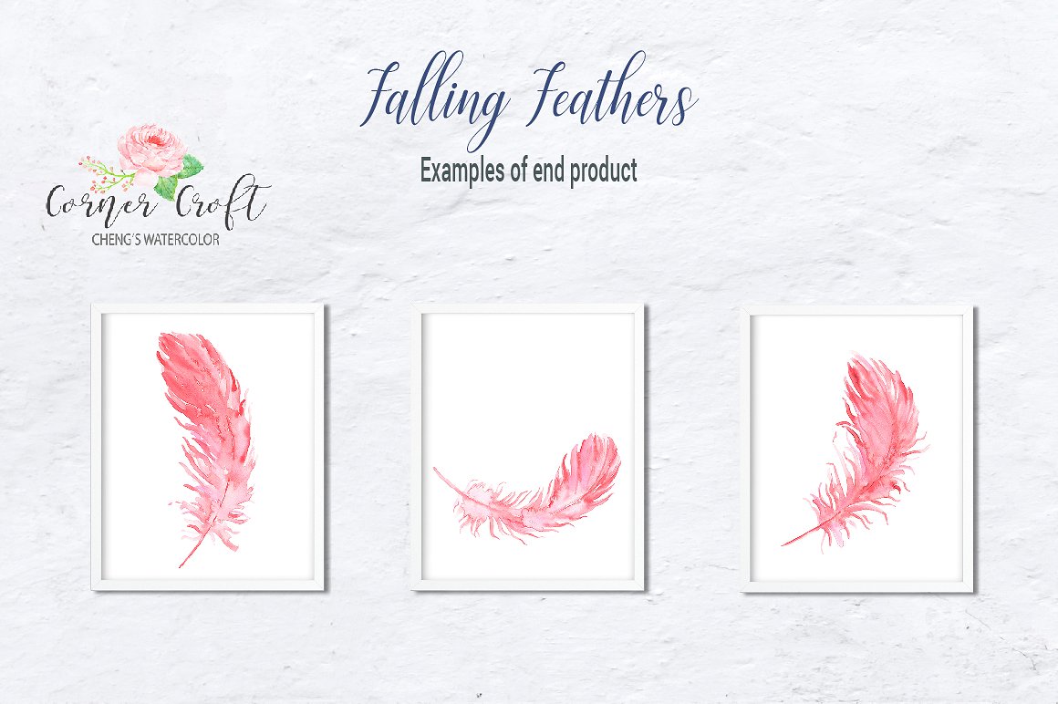 Falling Feather Illustration