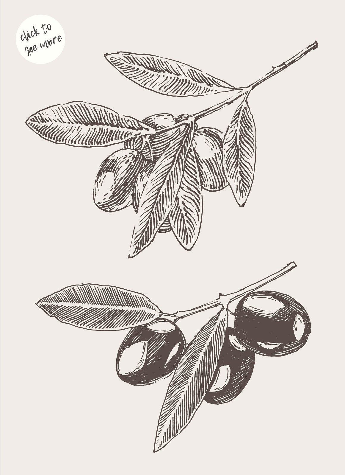 Two olive tree branches