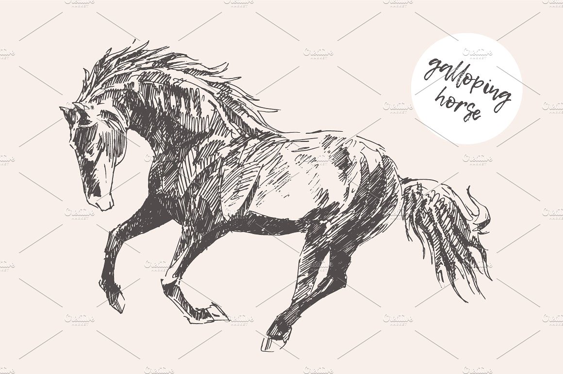 Sketch of a galloping horse