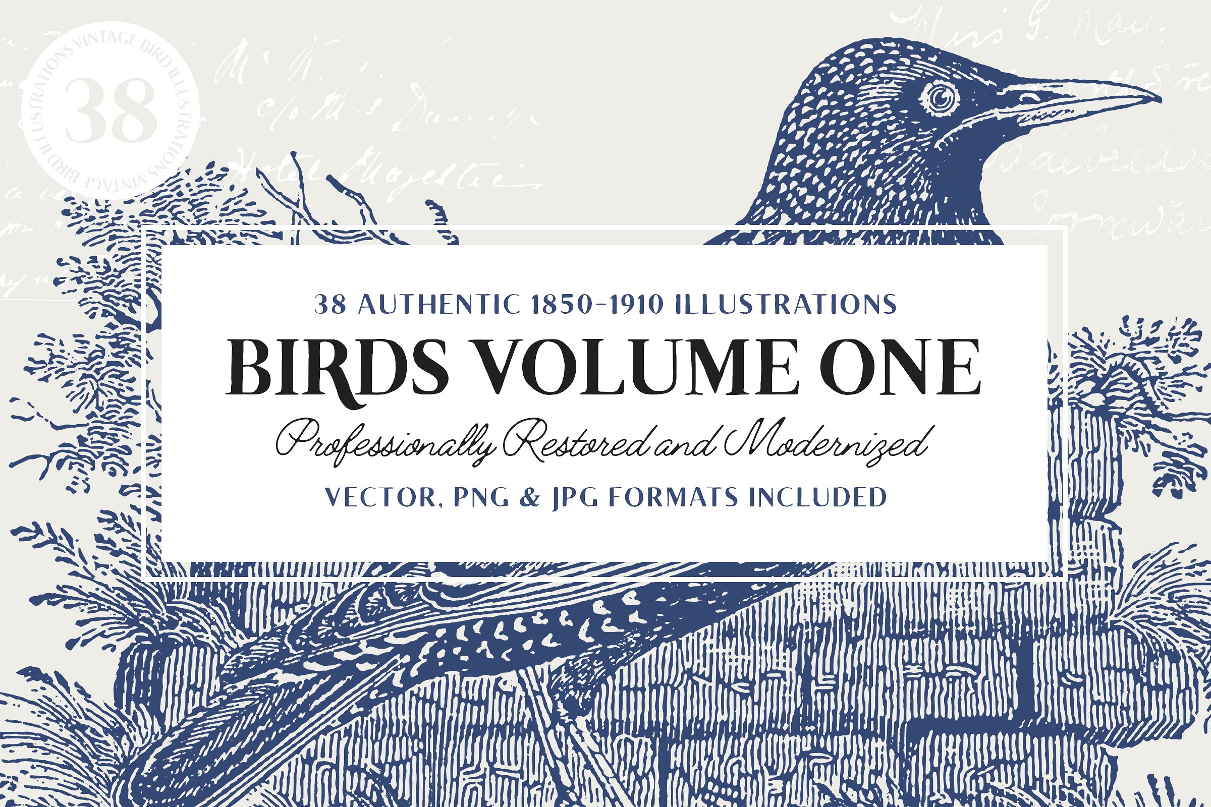 38 Vintage Engravings of Birds