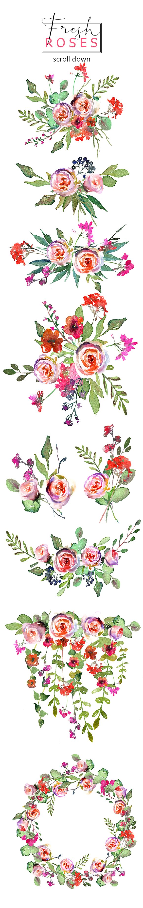 手绘水彩花卉植物设计素材Spring Watercolor