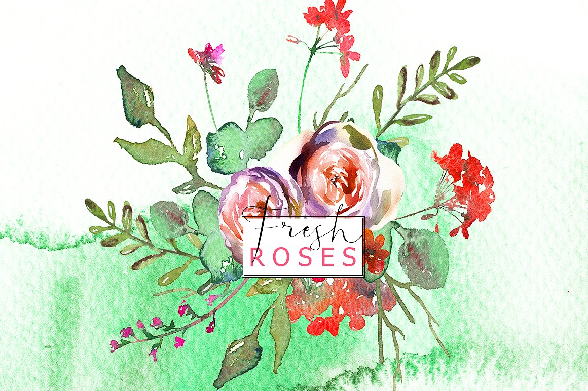 手绘水彩花卉植物设计素材Spring Watercolor