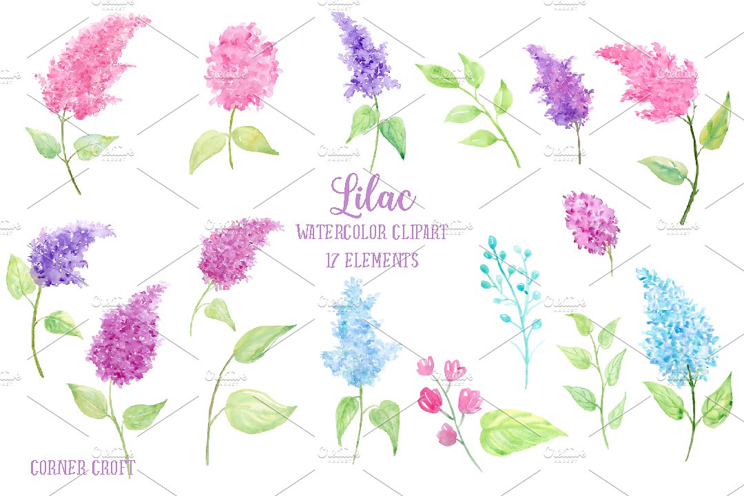 手绘水彩丁香花设计素材Watercolor Lilac Fl