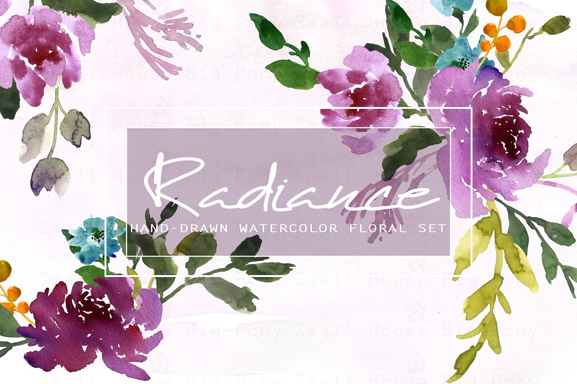 手绘水彩花卉植物设计素材Radiance-Watercolo