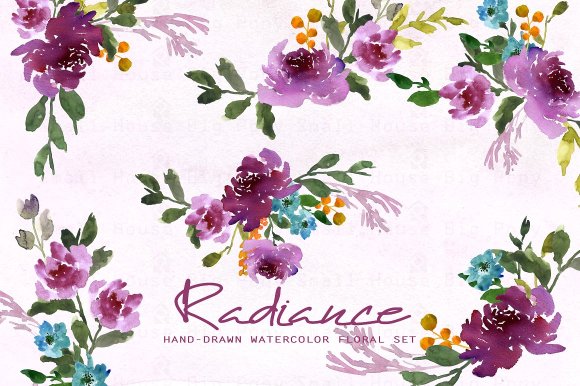 手绘水彩花卉植物设计素材Radiance-Watercolo