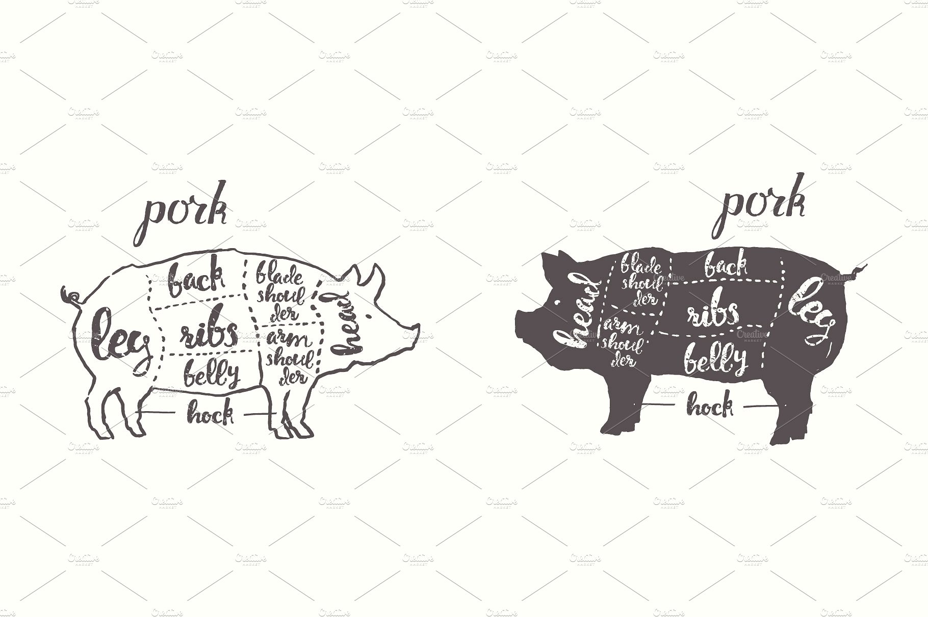 手绘牲畜动物设计素材Pork cuts, chicken c