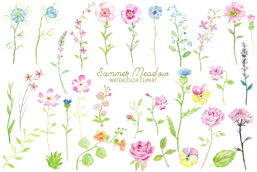 手绘水彩春天花卉植物设计素材Watercolor Clipa