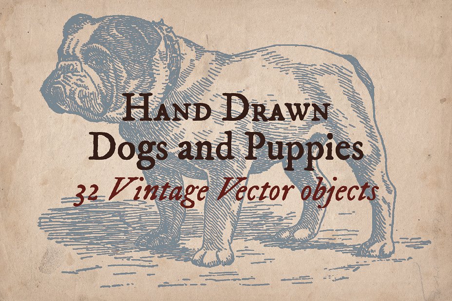 复古手绘狗插图素材32 Hand Drawn Dogs an