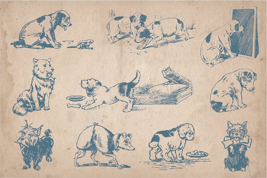 复古手绘狗插图素材32 Hand Drawn Dogs an