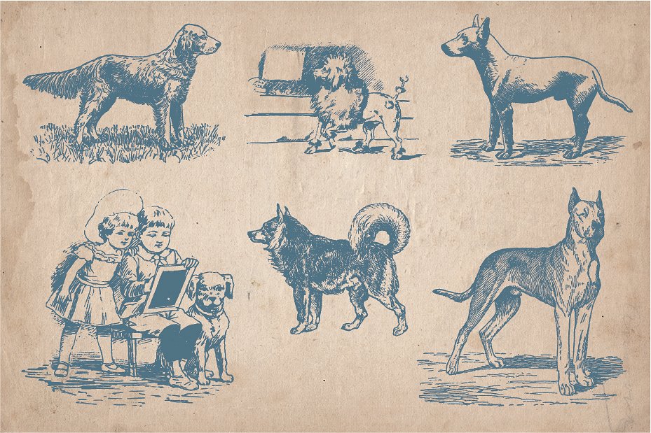 复古手绘狗插图素材32 Hand Drawn Dogs an