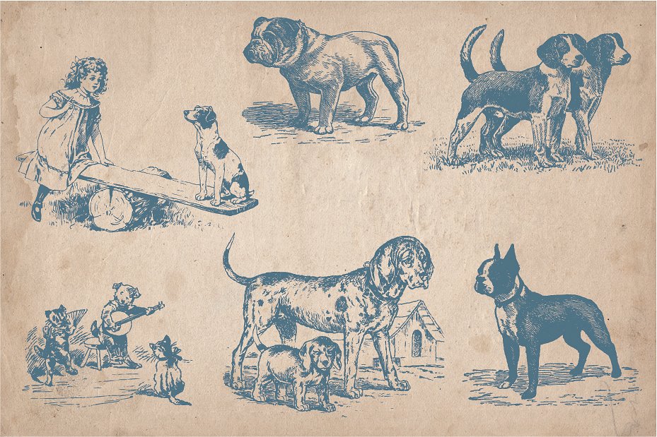 复古手绘狗插图素材32 Hand Drawn Dogs an