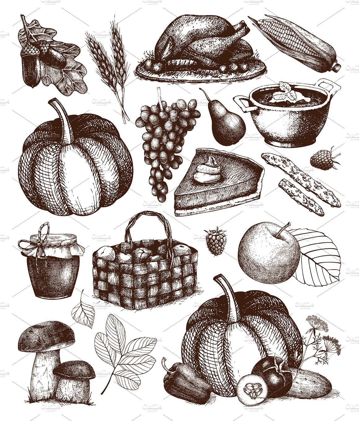 手绘感恩节食物插图素材Vector Thanksgiving