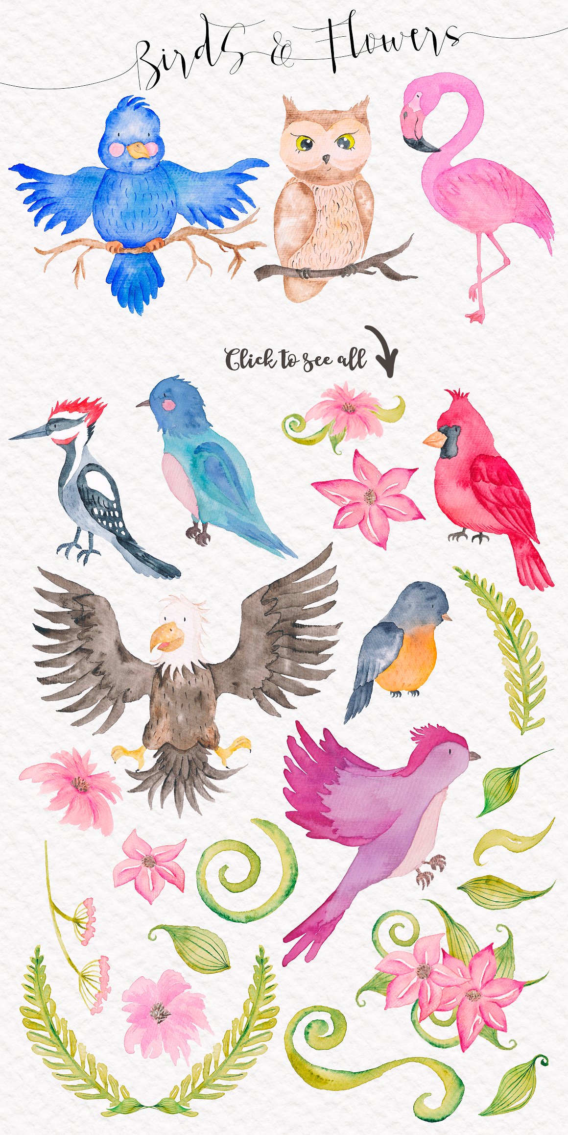 手绘水彩鸟儿设计素材Cute Birds Watercolo