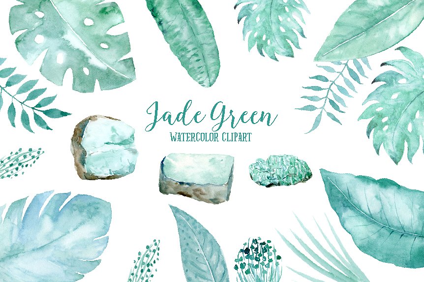 手绘水彩热带植物设计素材Jade Green Leaf an