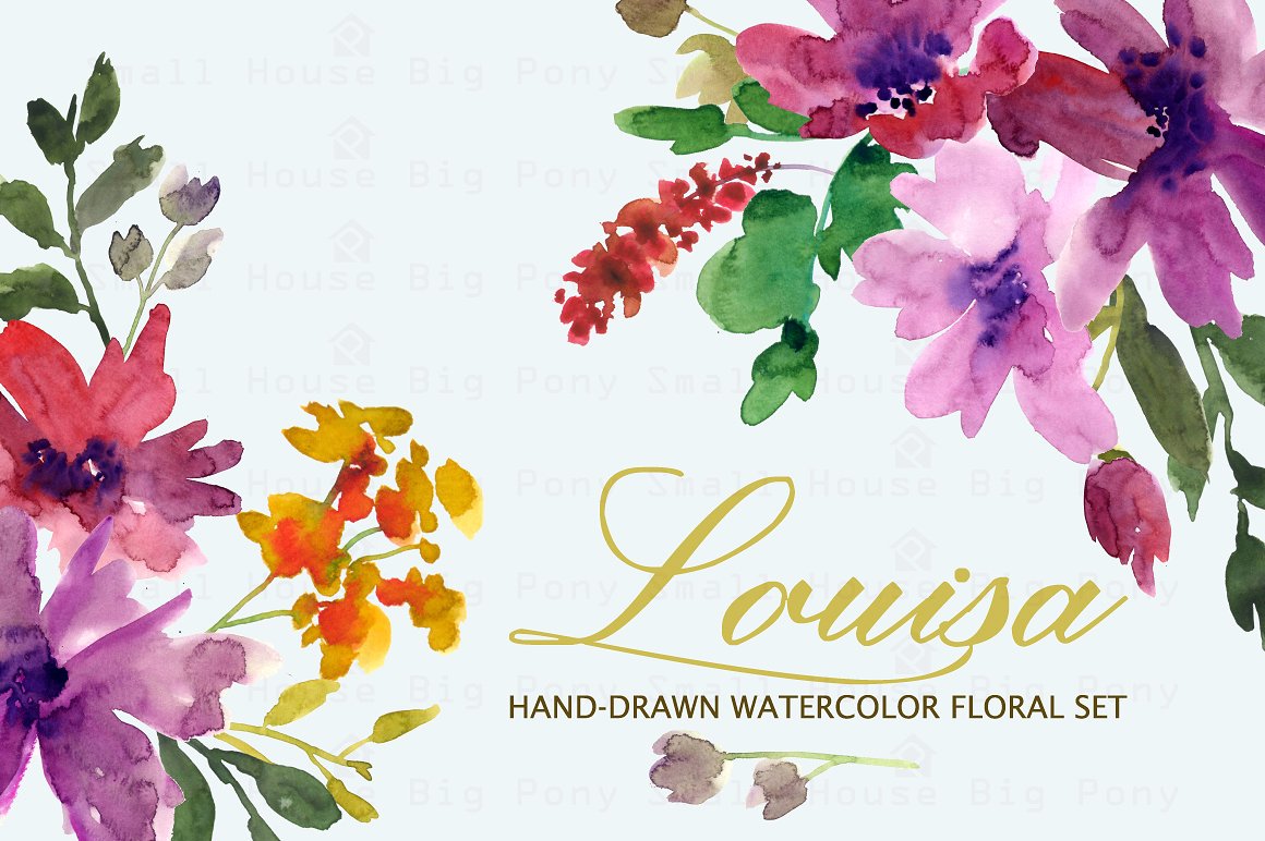手绘水彩花卉设计素材Louisa- Watercolor C