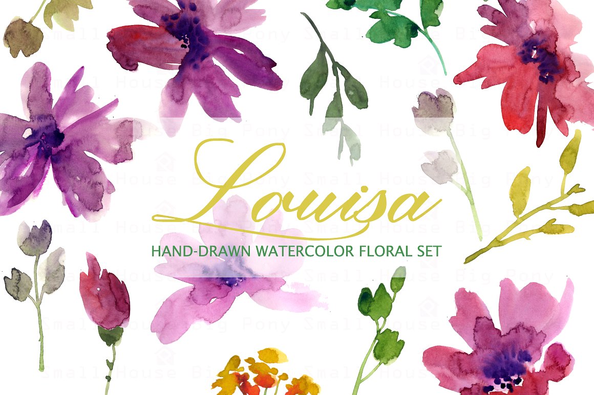 手绘水彩花卉设计素材Louisa- Watercolor C