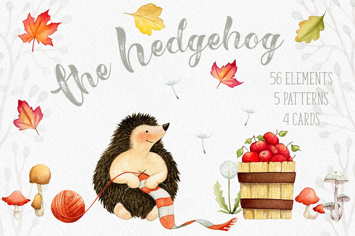 手绘水彩刺猬主题设计素材The Hedgehog - Min