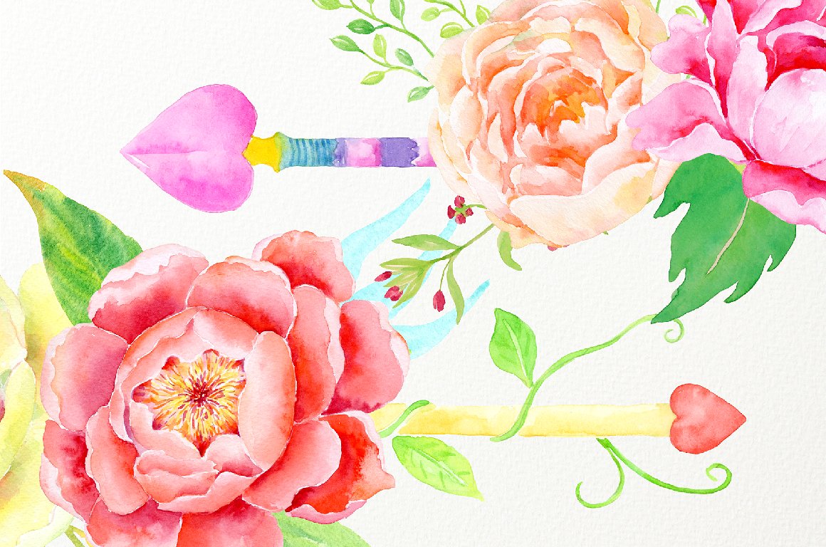 手绘水彩花卉植物设计素材Watercolor Boho Pe