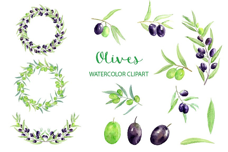 手绘水彩橄榄设计素材Watercolor Olive Cli