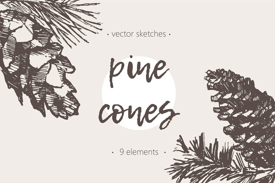 手绘松果矢量插图Sketches of pine cones
