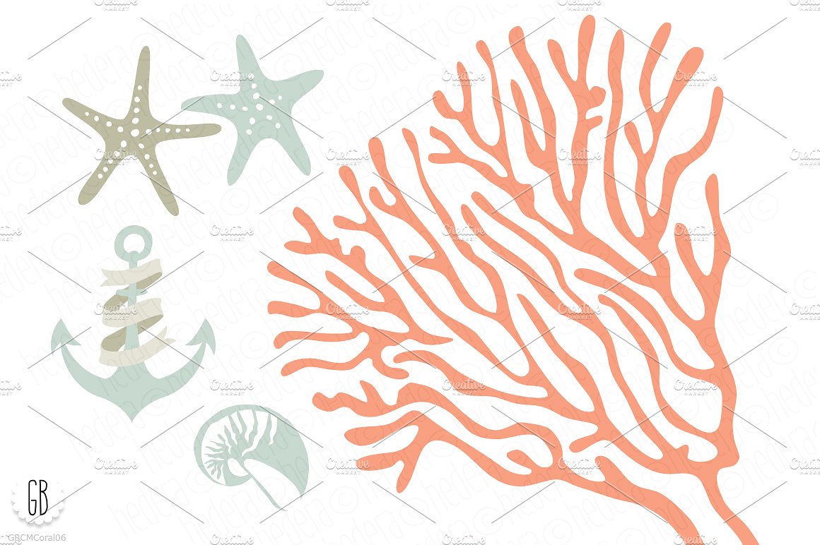 手绘海洋生物插图素材Beach sea corals nau