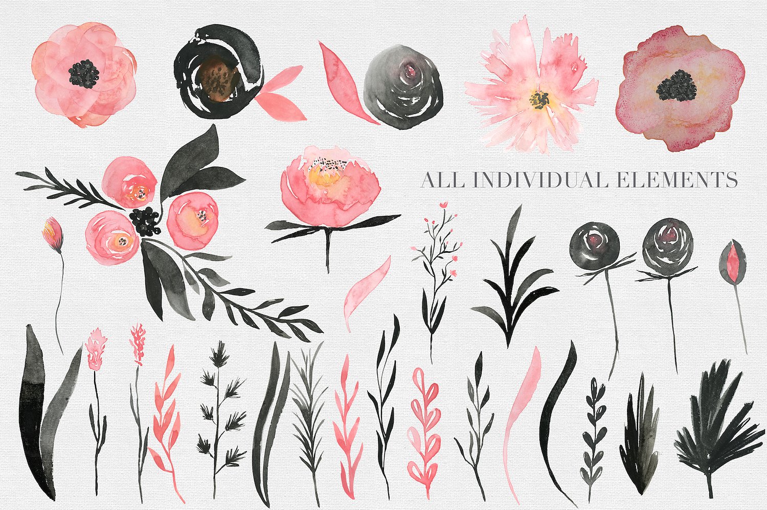 手绘水彩花卉植物设计素材Black -amp; Pink R