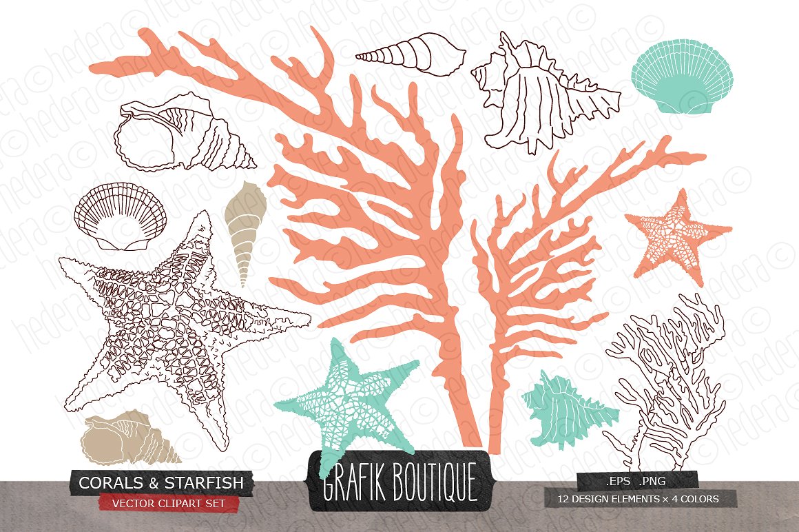 手绘海洋生物设计素材Coral starfish shell