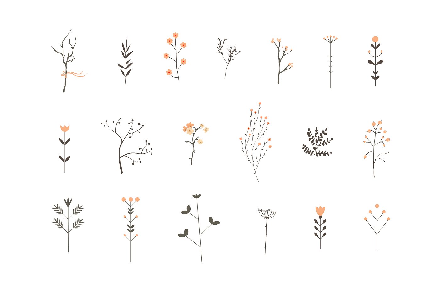 手绘花枝和花卉插图素材Romantic Branches V