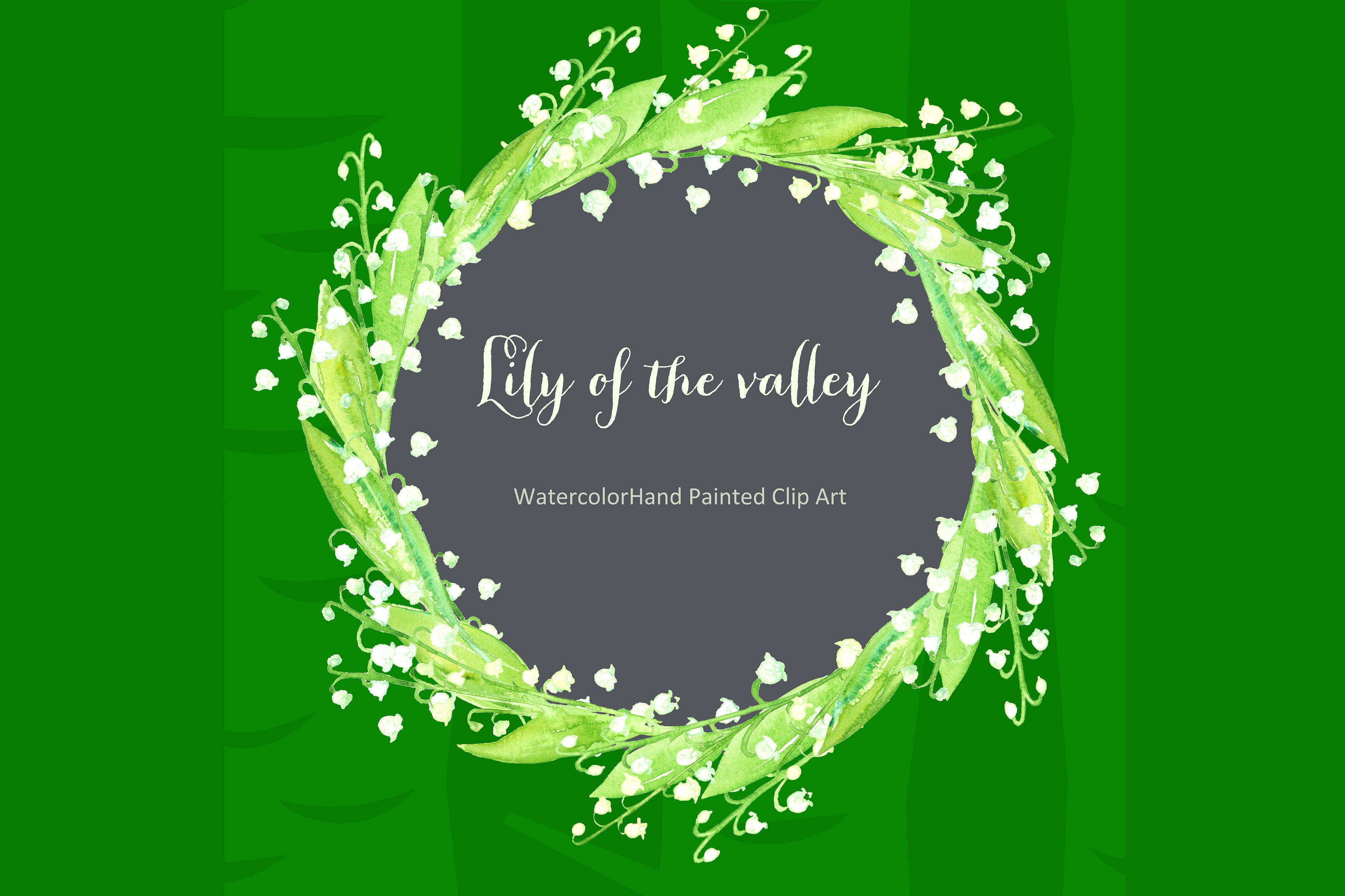 手绘水彩铃兰设计素材Lily of the valley w