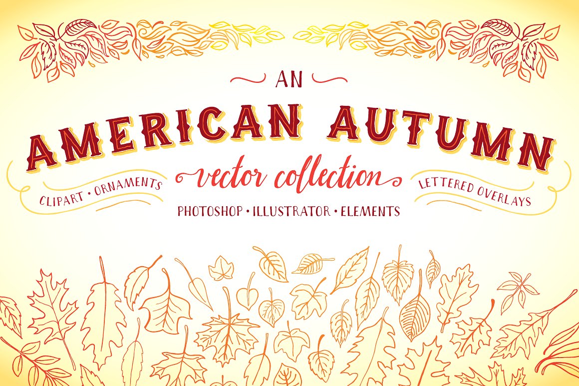 手绘秋季植物元素矢量插图An American Autumn