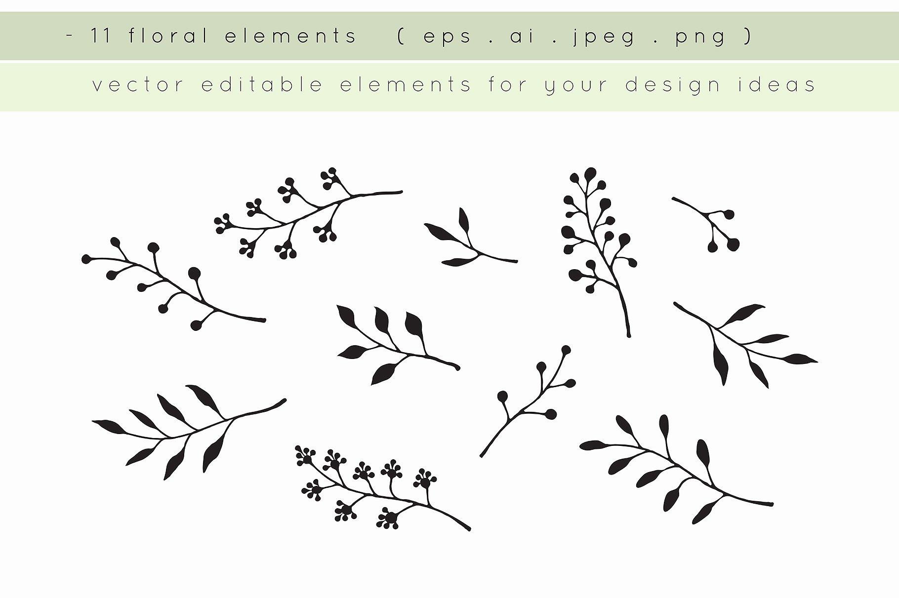 手绘植物装饰素材Botanic Graphic Collec