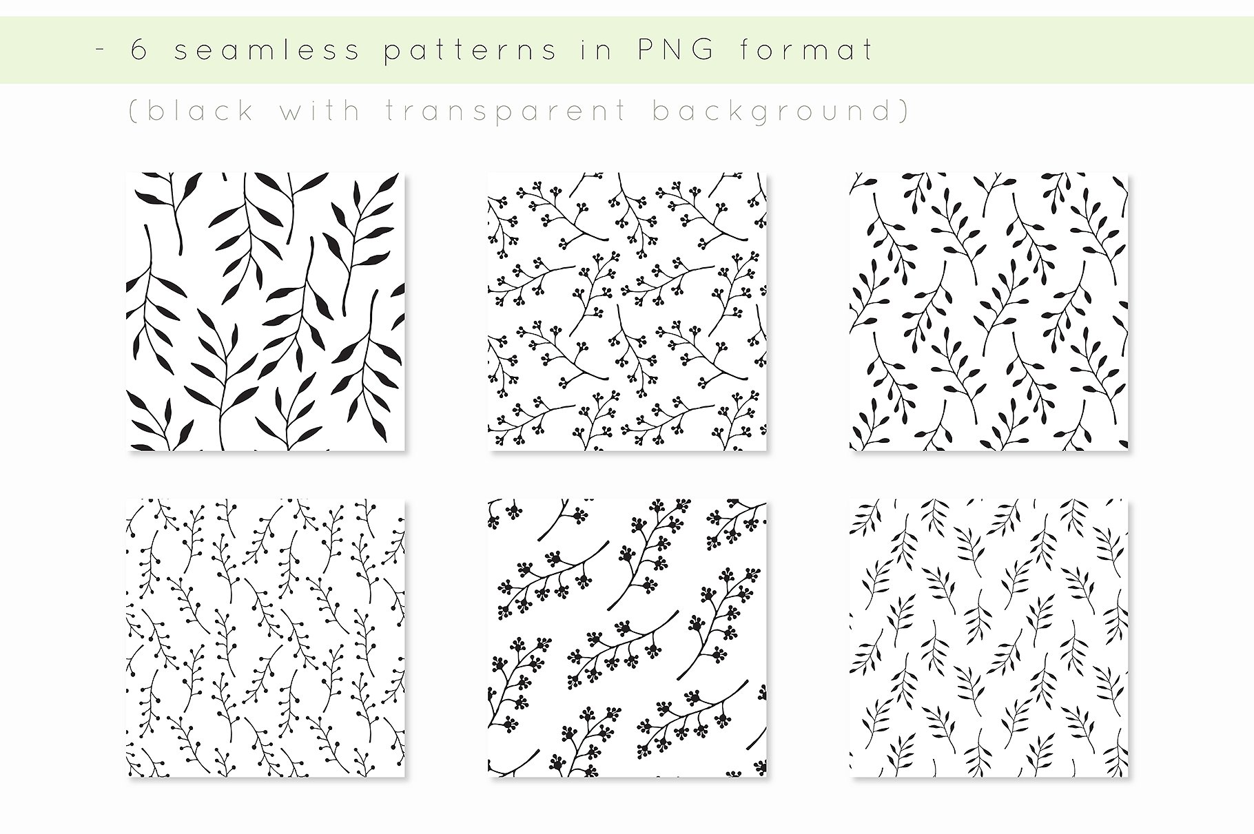 手绘植物装饰素材Botanic Graphic Collec