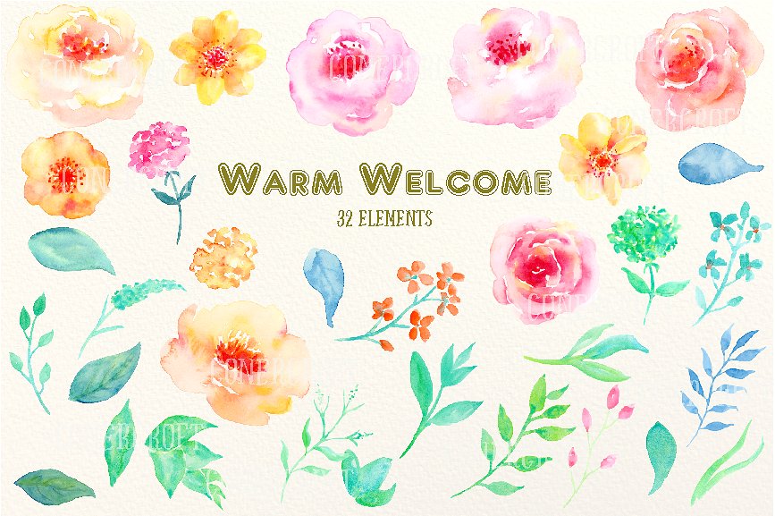 手绘水彩花卉植物素材素材Watercolor Clipart