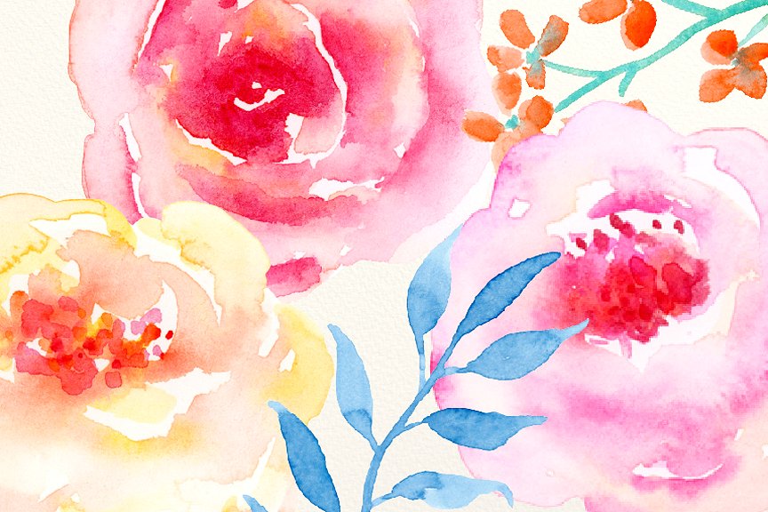 手绘水彩花卉植物素材素材Watercolor Clipart