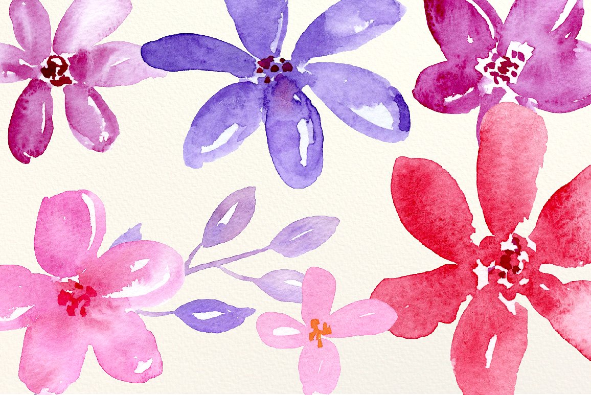 手绘水彩花卉设计素材Watercolor Cheerful