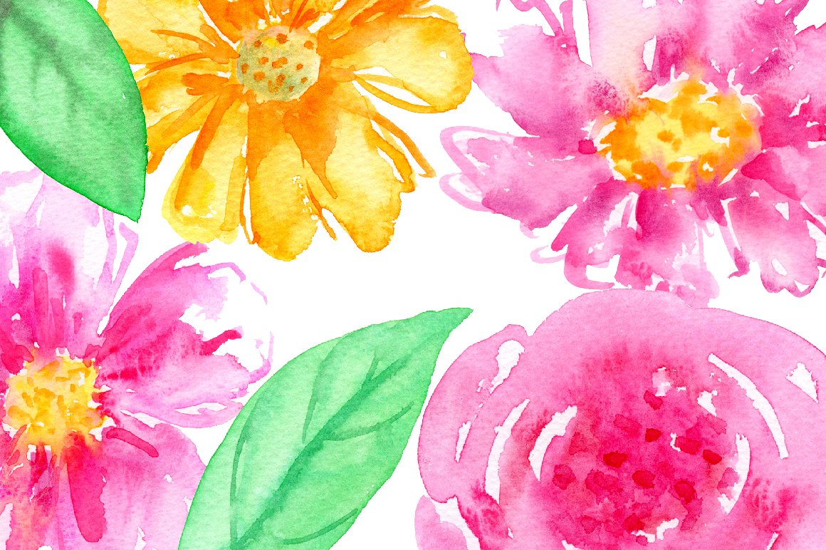 手绘水彩花卉植物设计素材Watercolor Clipart