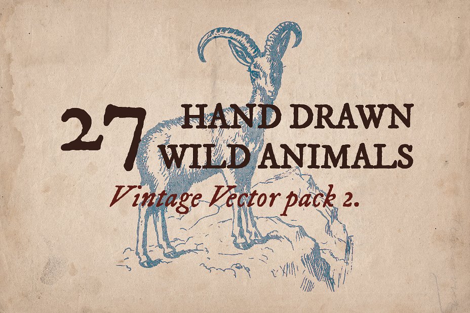 复古手绘野生动物矢量插图27 Hand Drawn Wild