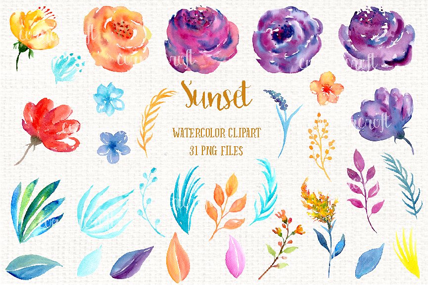 手绘水彩花卉植物设计素材Watercolor Clipart