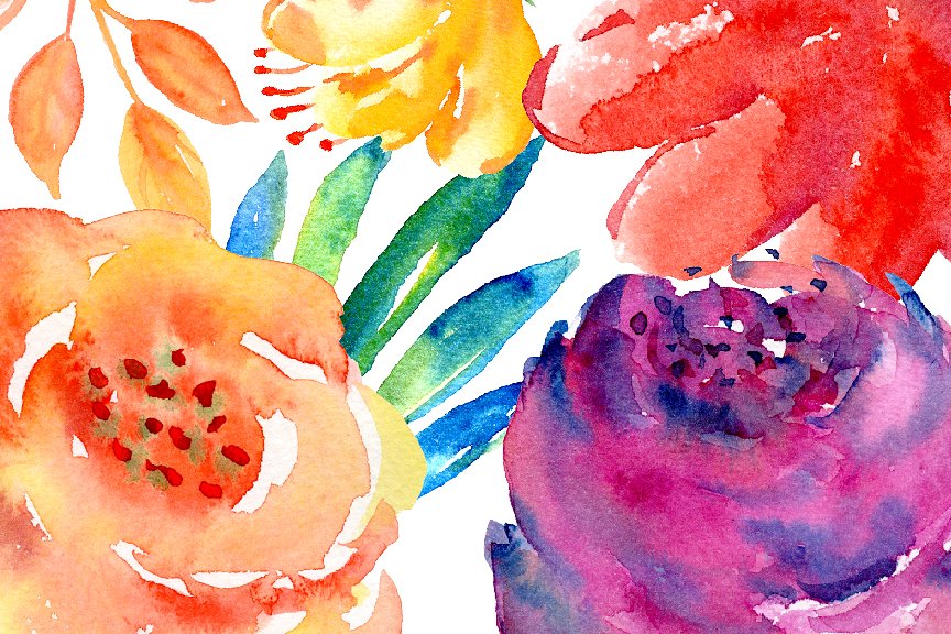 手绘水彩花卉植物设计素材Watercolor Clipart