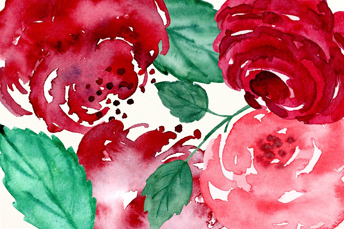 手绘水彩花卉植物设计素材Watercolor Festive