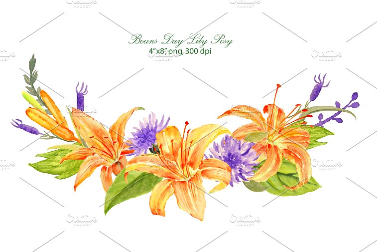 手绘水彩花卉植物设计素材Wedding Orange Edi