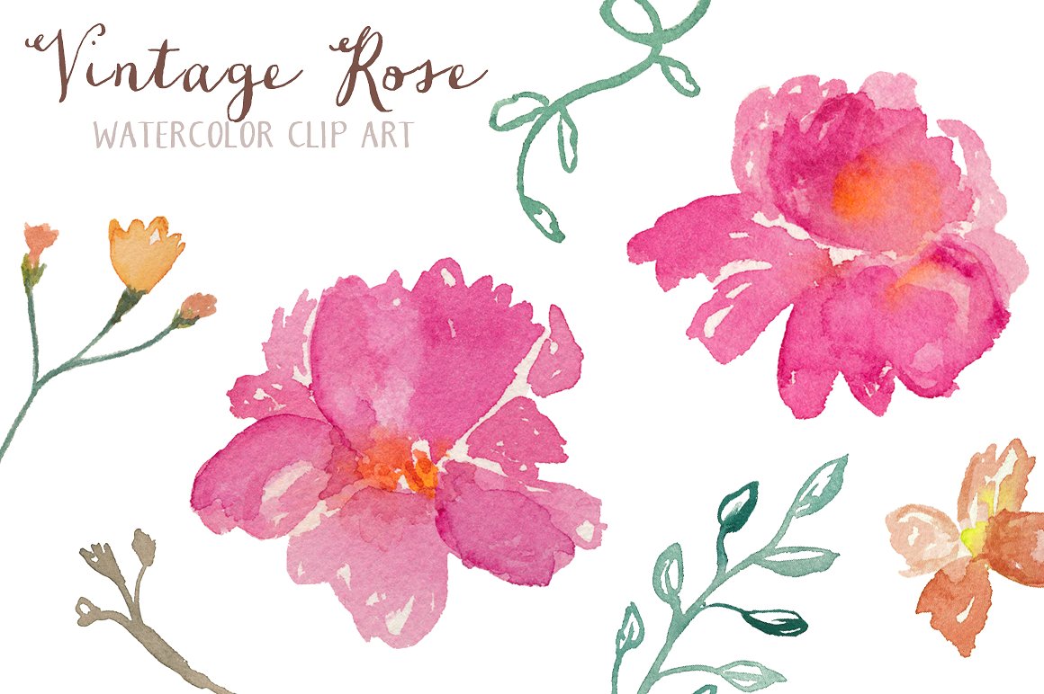 手绘水彩花卉设计素材Vintage Rose Waterco