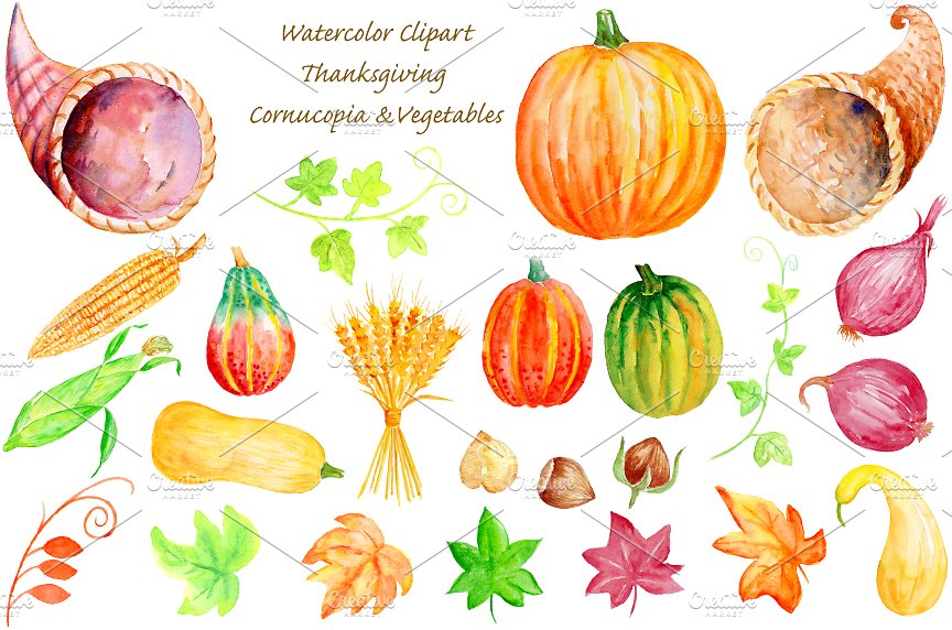 手绘水彩蔬菜设计素材Thanksgiving Cornuco