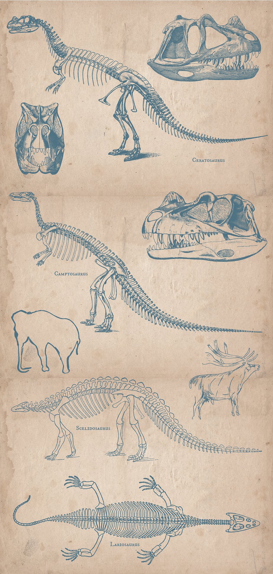 复古手绘史前动物化石设计素材Prehistoric Anim