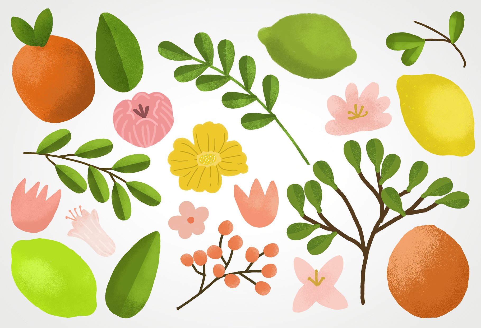 手绘水彩夏天果实植物图案设计素材Citrus Grove