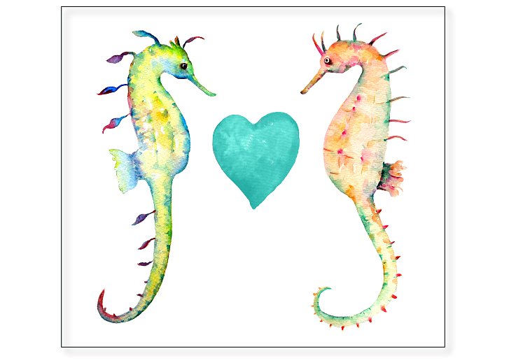 手绘水彩海马设计素材Watercolor Seahorse