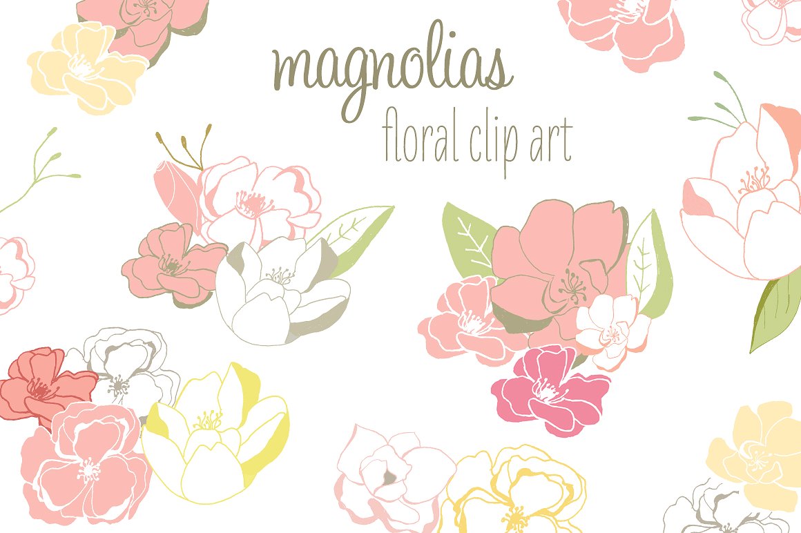 高质量手绘花卉插图素材Magnolia Clip Art