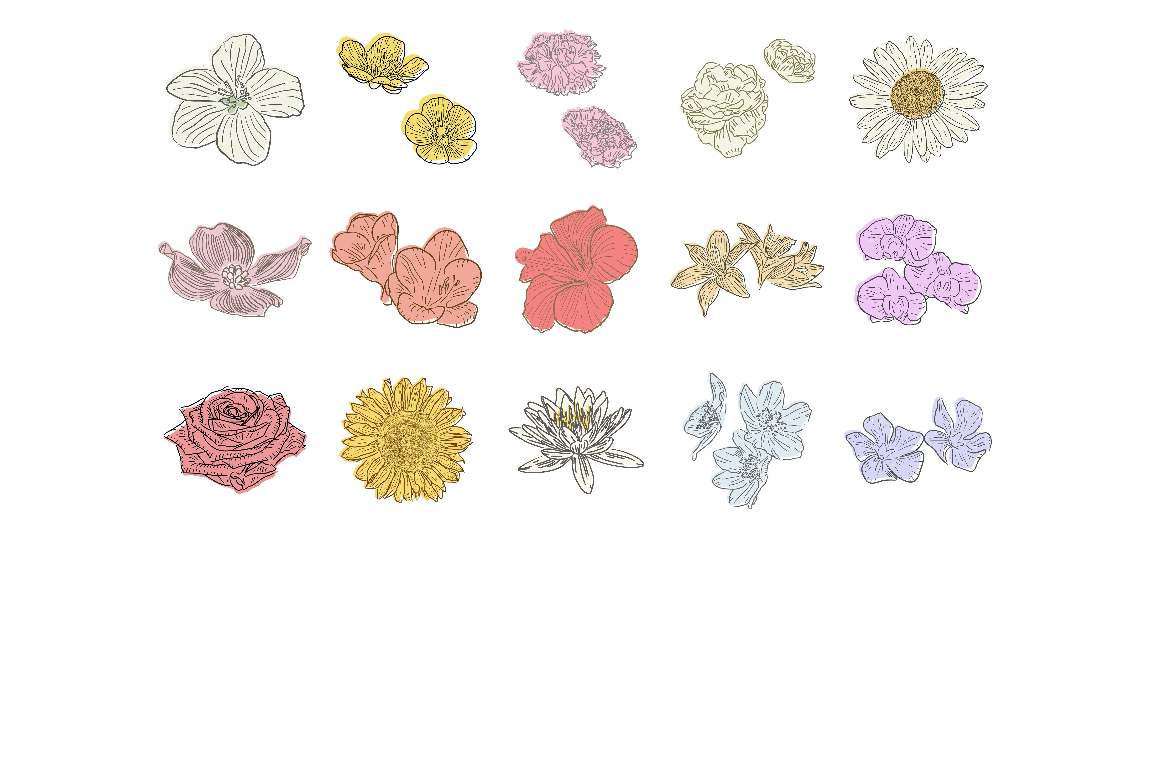 手绘花卉矢量插图素材20 Vector Floral Ill