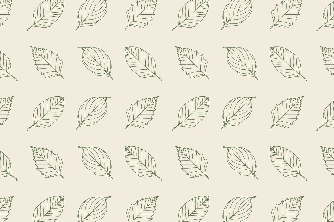 手绘树叶矢量插图Vector Leaf Illustrati