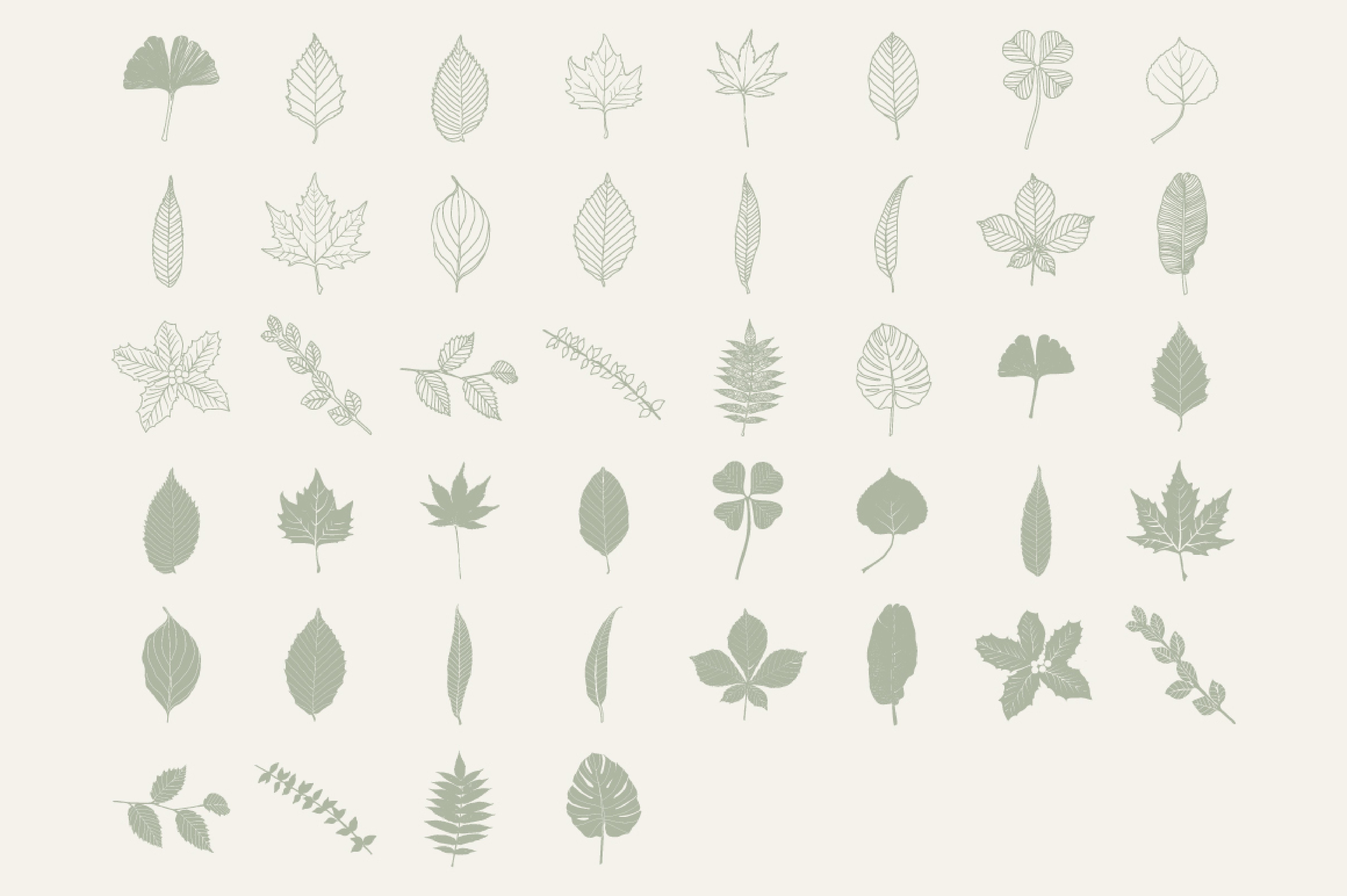 手绘矢量树叶设计素材Vector Leaf Illustra